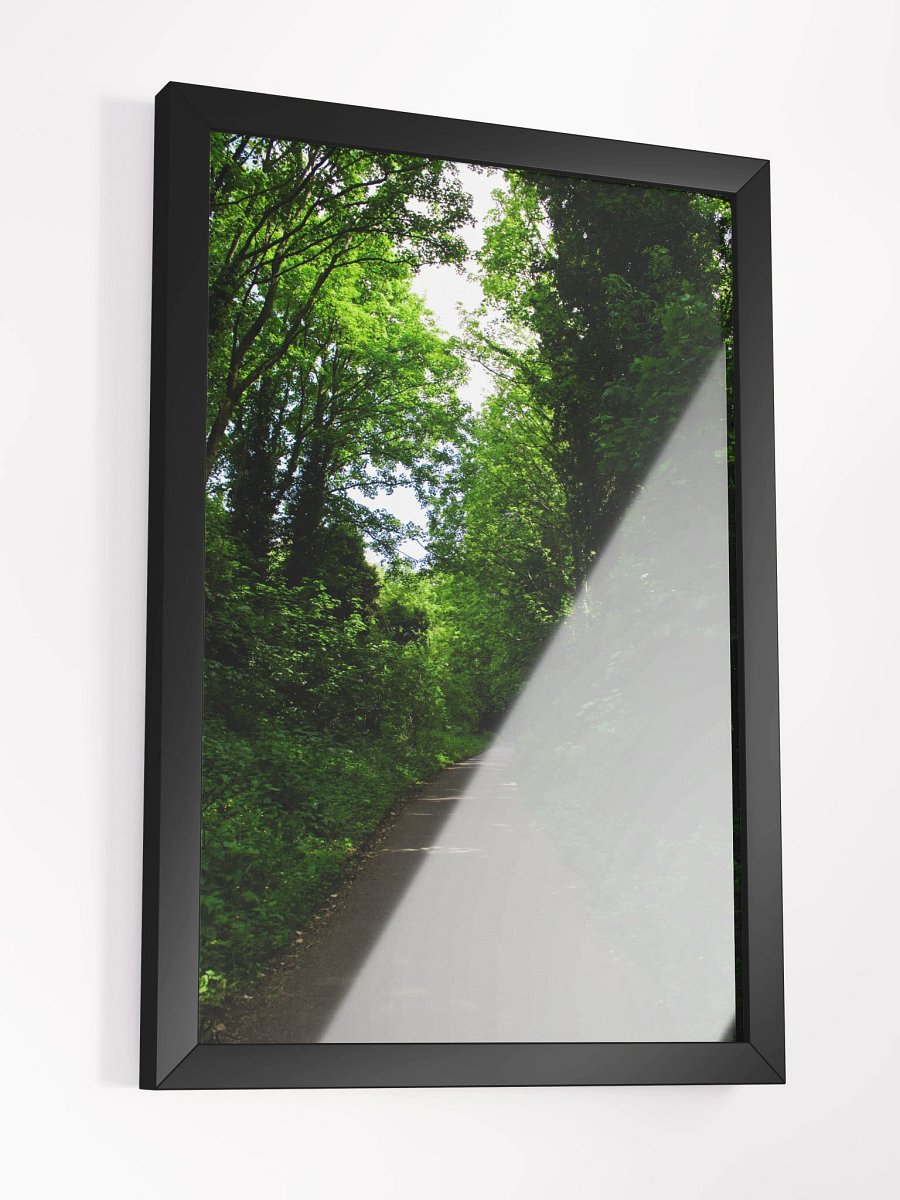 Vibrant Forest product image (3)