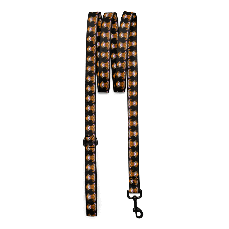 Dog Leash product image (3)