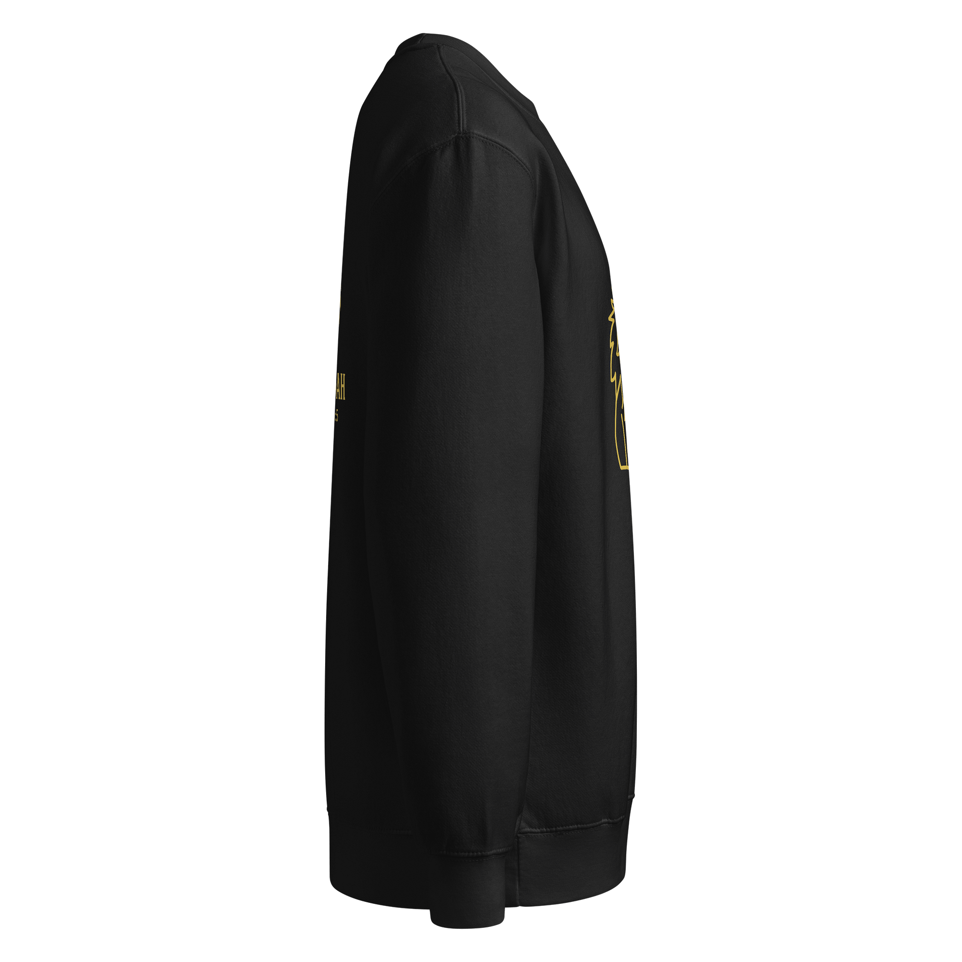 Lion of Judah Premium Crewneck Sweatshirt product image (4)