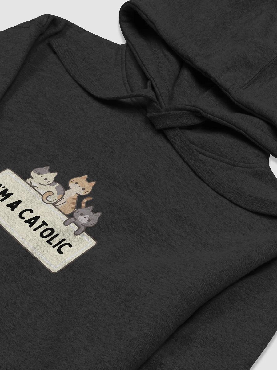 Paws & Praise Hoodie product image (3)