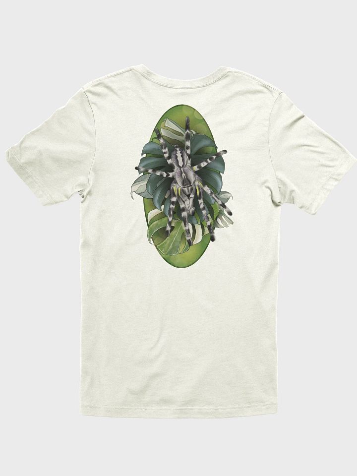 Poecilotheria regalis and Monstera product image (1)