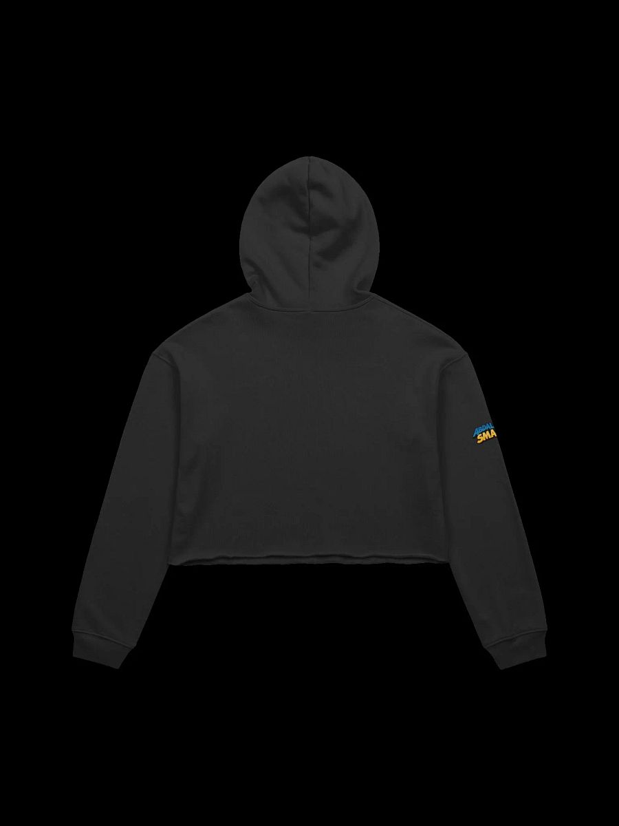 Snowglobe Cropped Hoodie product image (8)