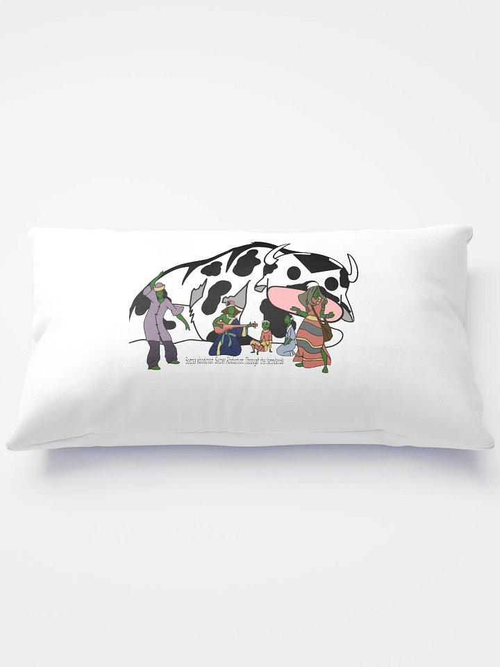 Secret Abduction Pillow product image (1)