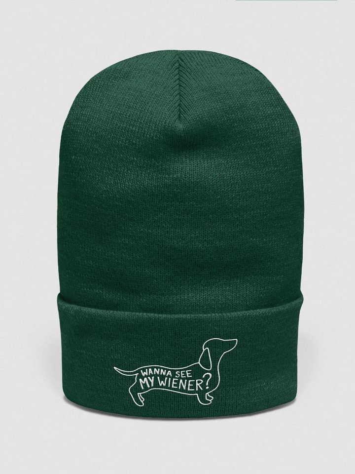 Wanna See My Wiener? Embroidered Toque product image (26)