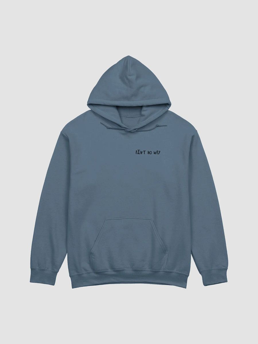 Ain't No Way Hoodie product image (1)