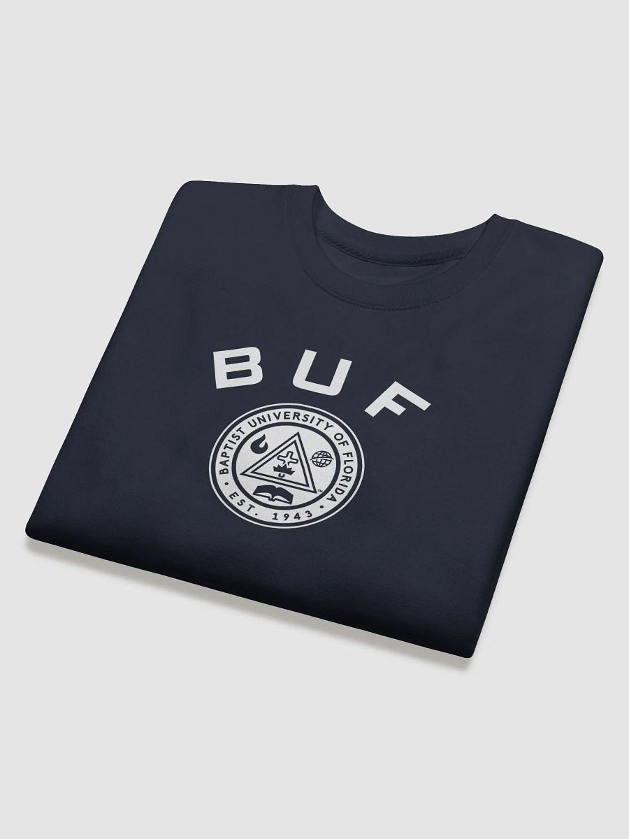 BUF ACADEMIC SWEATSHIRT product image (11)