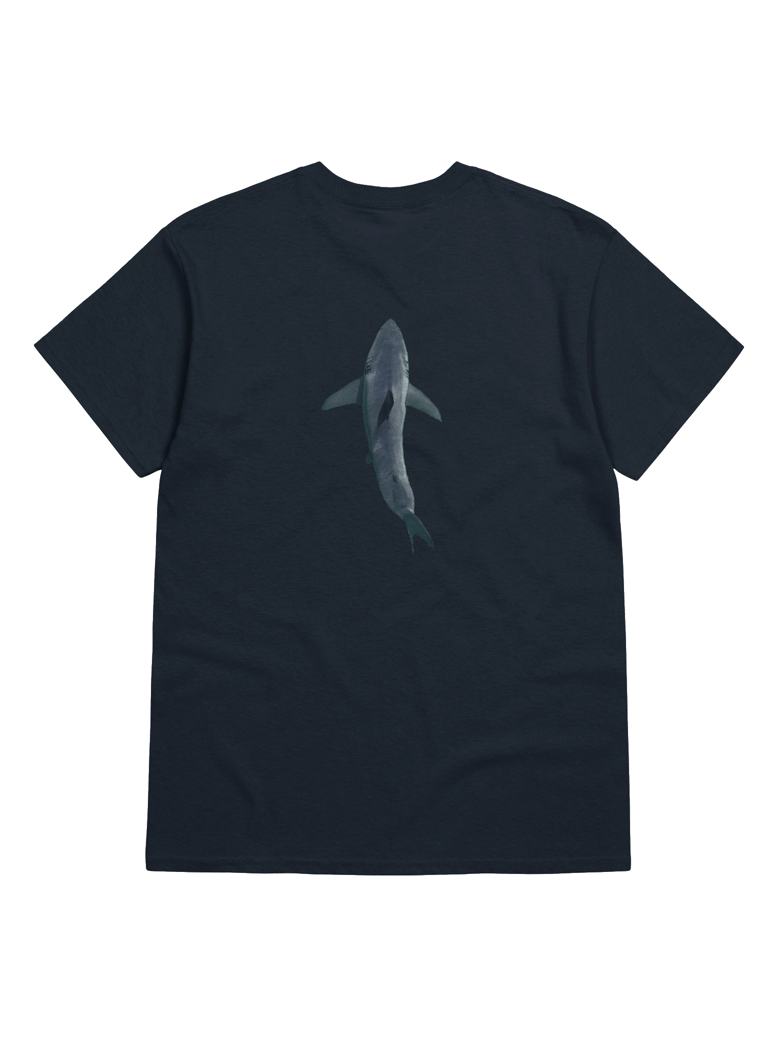 Carcharodon carcharias product image (6)