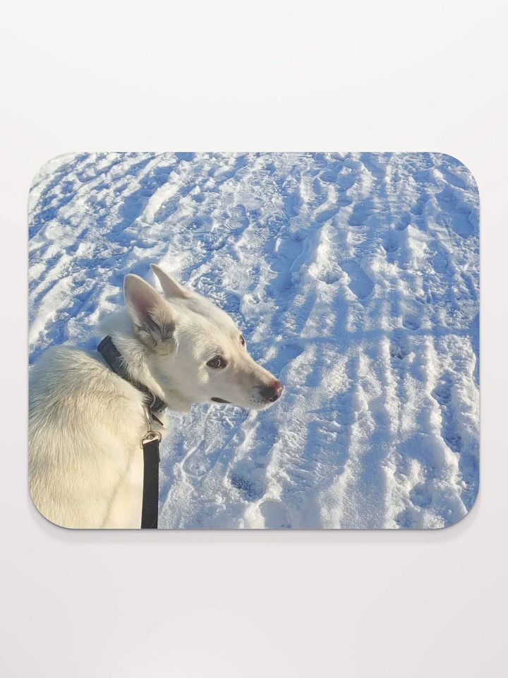 wintertime walk boy product image (1)