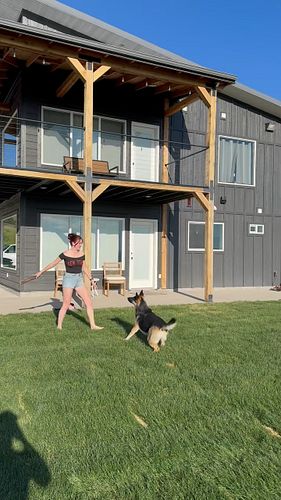 Sod, Instantly Satisfying 😍 #yard #diy #sod #dog