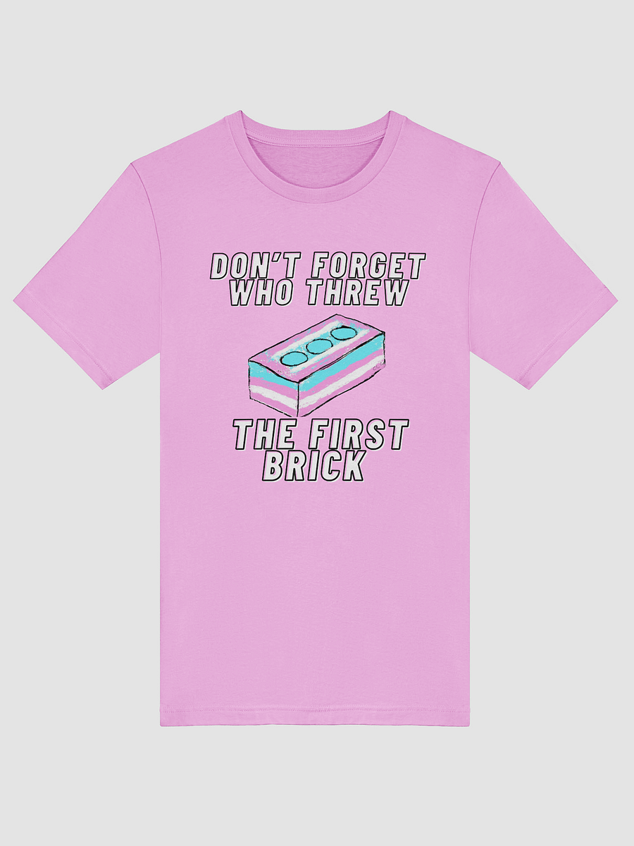 Don't Forget Who Threw The First Brick Tee product image (5)