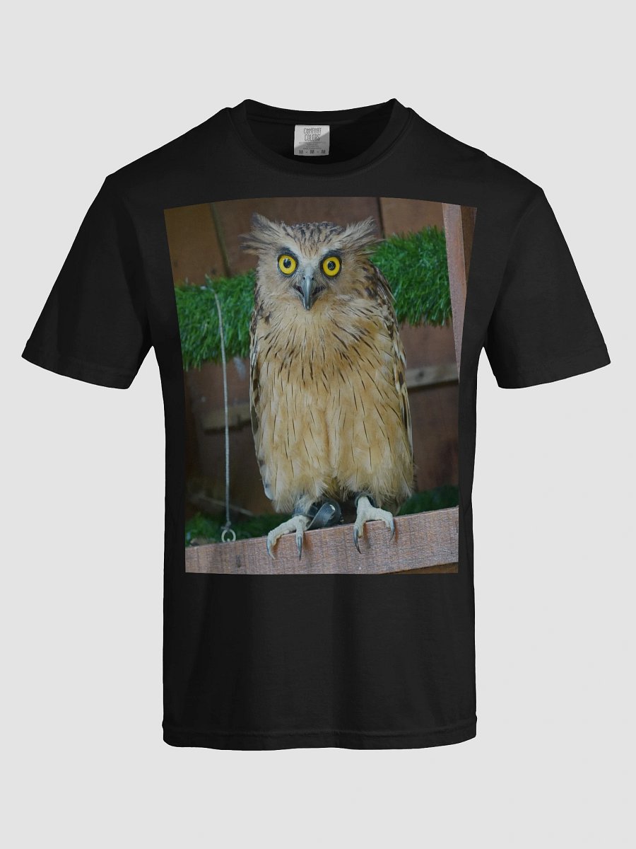 Owl Eyes Comfort Tee product image (5)