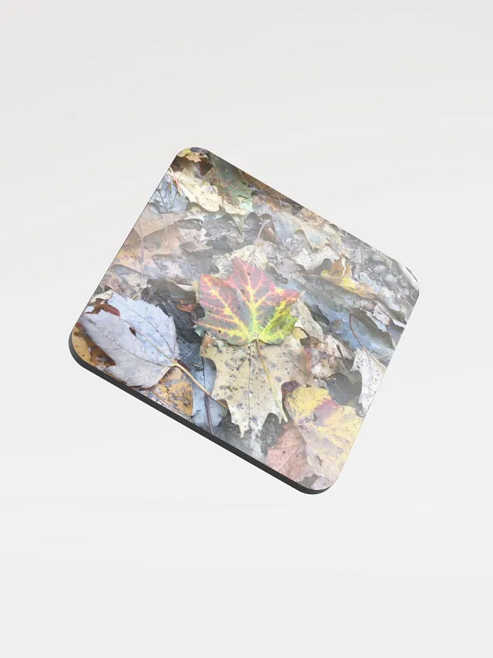 Fall Leaves Cork Coaster product image (1)