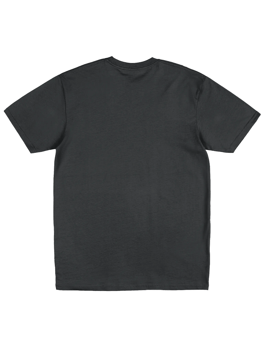 HP Chaos Ship Premium Heavyweight Tee product image (2)