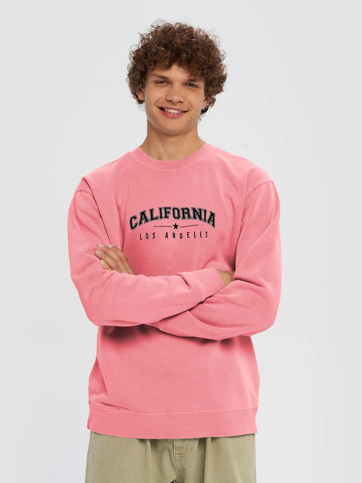California | Los Angeles Sweatshirt product image (14)