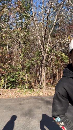 THIS SATURDAY AT @tandoori_woodbridge_ 💃🏽
Live Performances, Food, & unreleased music 😉

•ladies free before 11pm ~ RSVP in B...