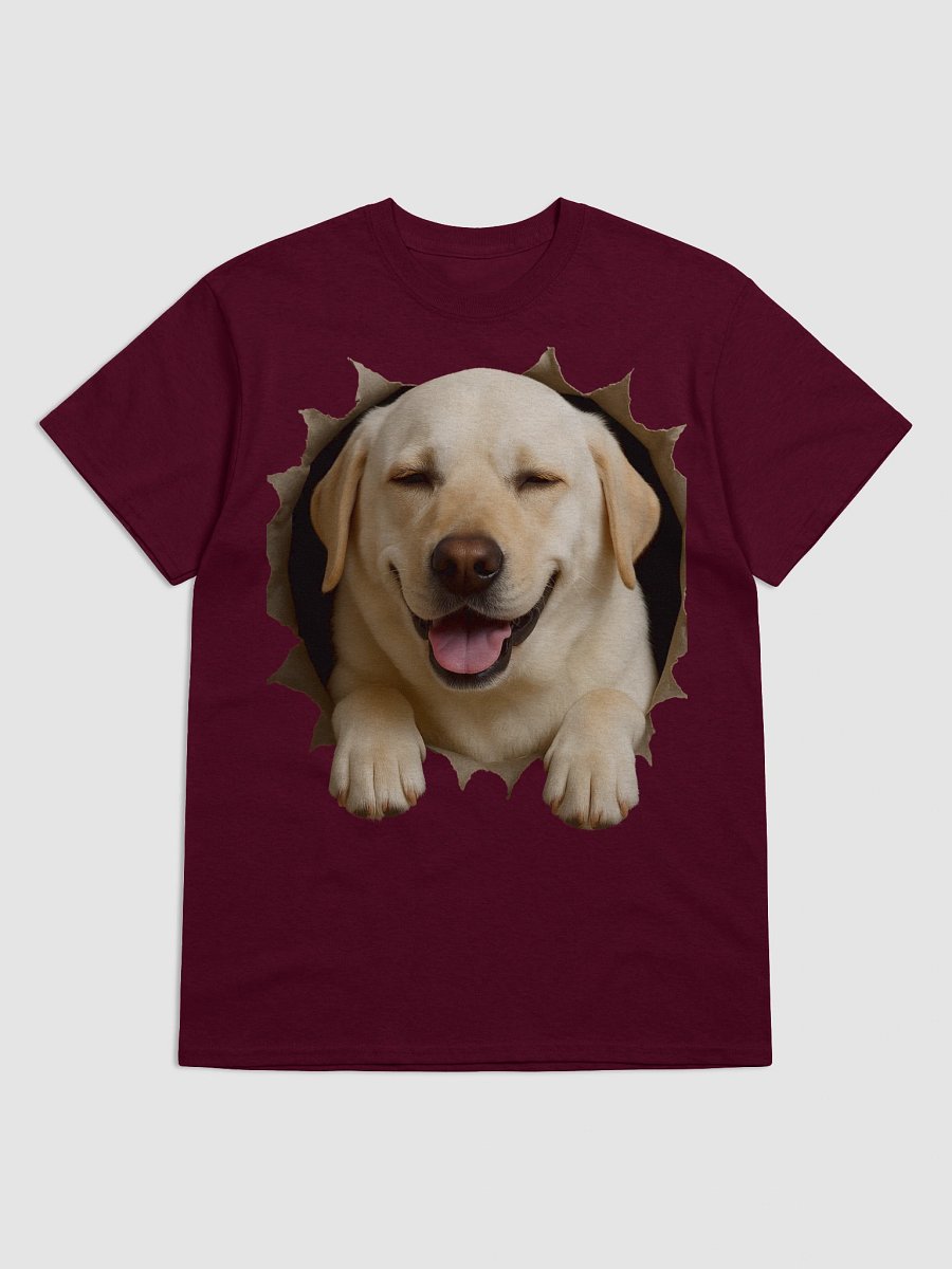 Peekaboo Labrador Puppy product image (8)