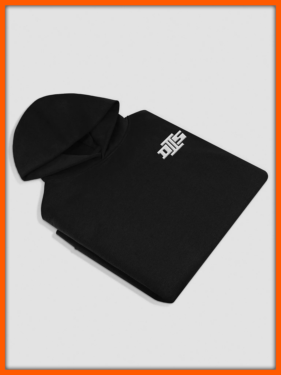 D2S "Iron" Hoodie product image (4)