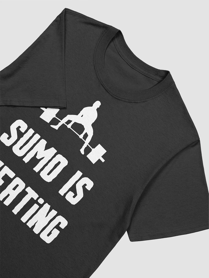 Sumo Is Cheating Unisex T-Shirt V2 product image (2)