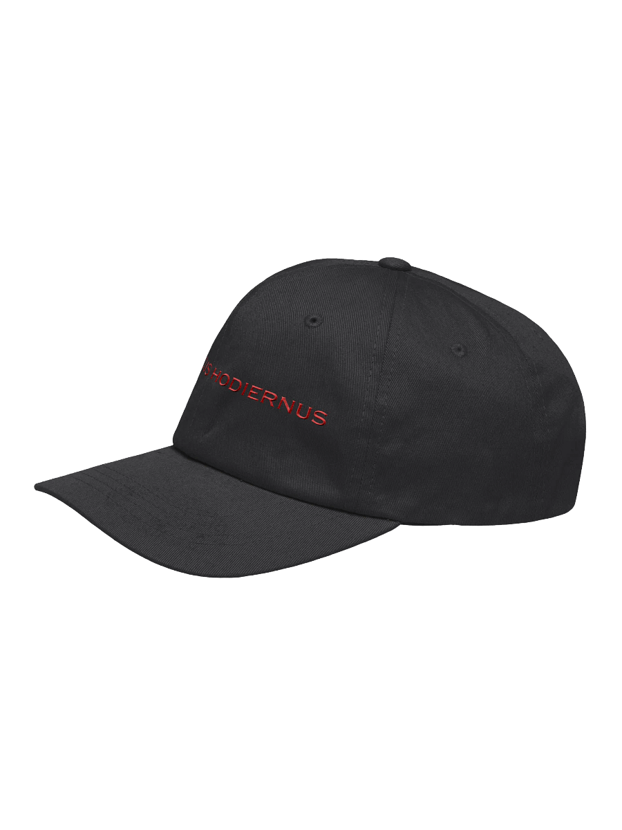 Stoicus Hodiernus Dad Hat product image (3)