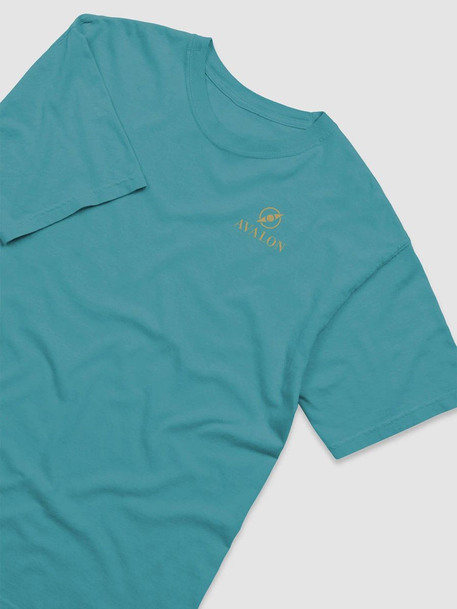 Men's Garment Dyed T-Shirt product image (19)