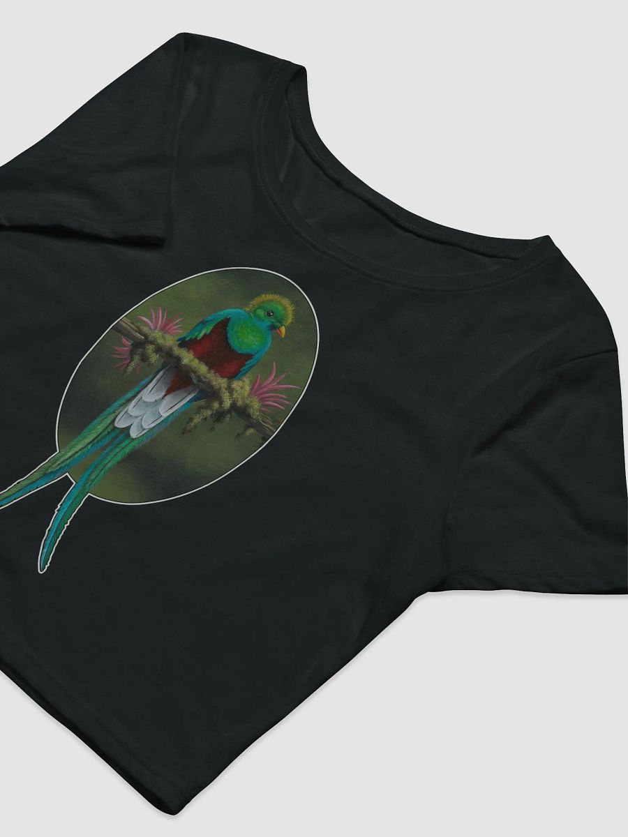 Resplendent Quetzal - SFA Crop Tee product image (14)