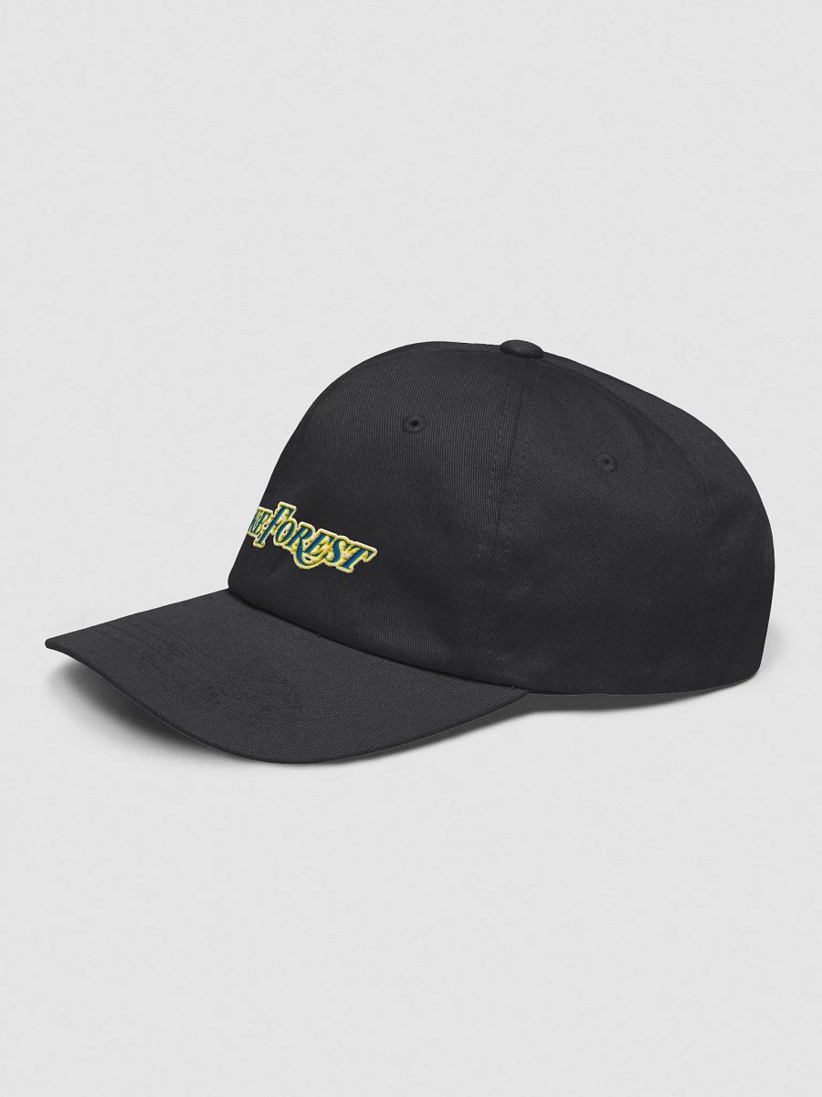 Fastbreak Showtime Lake Forest Dad Hat product image (3)