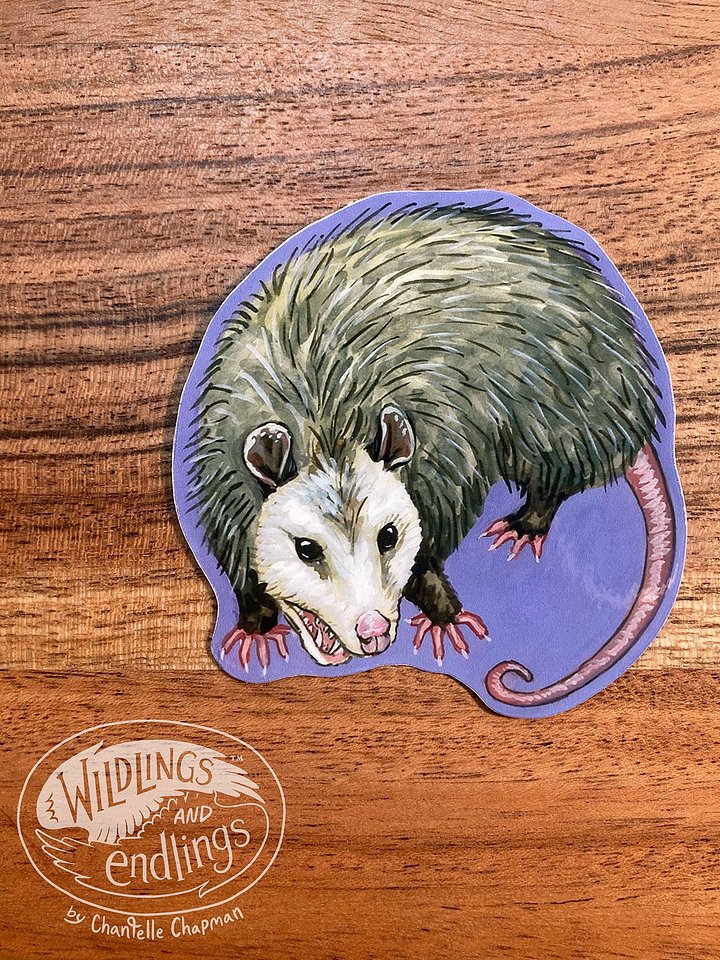 Opossum - Individual Sticker product image (1)