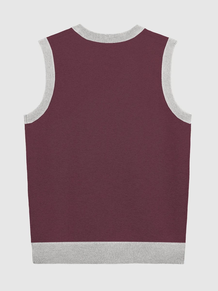 Mouthful of Style Knitted V-Neck Vest product image (9)