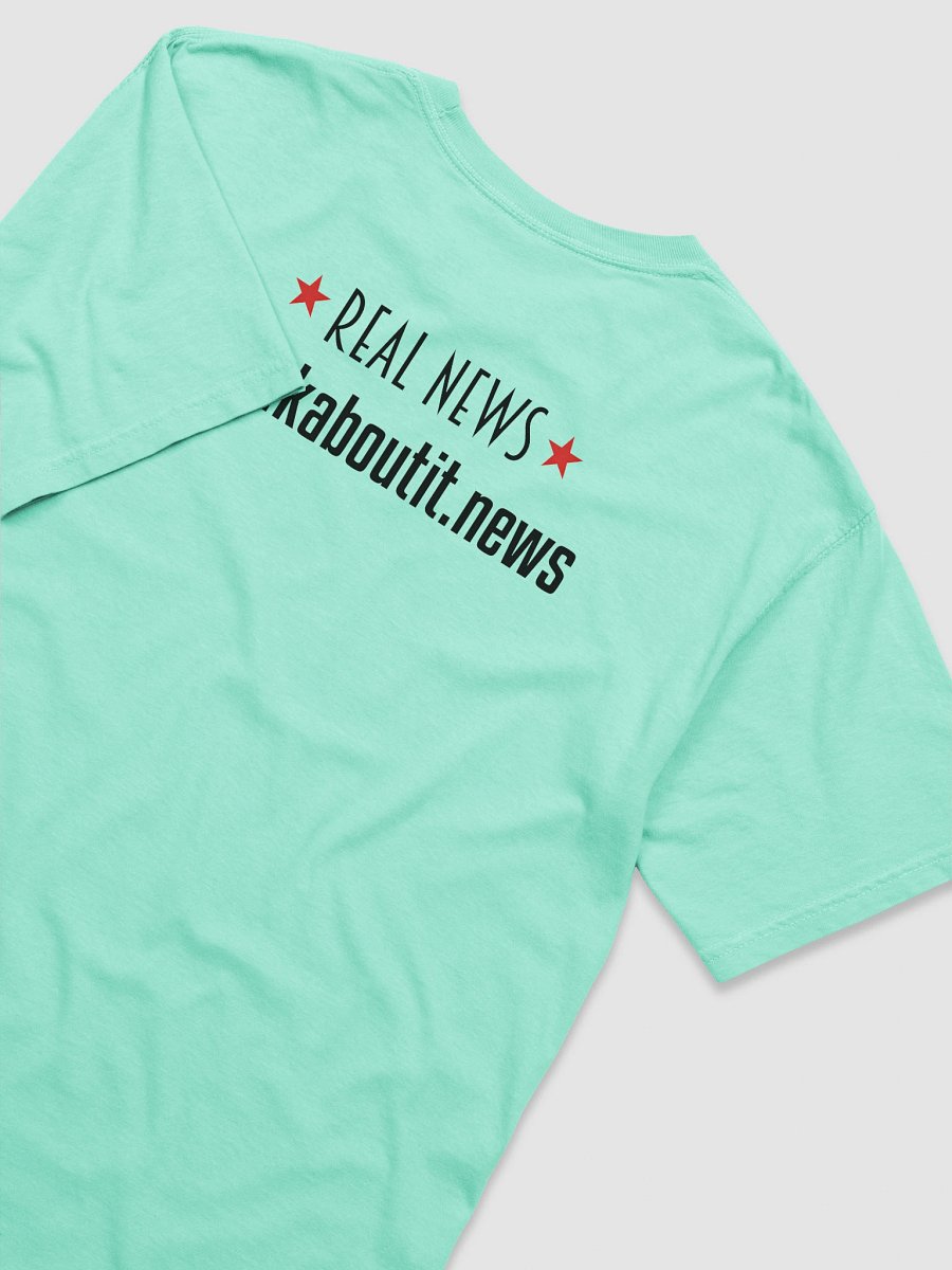 Witness Protection Program Seal T-Shirt product image (41)