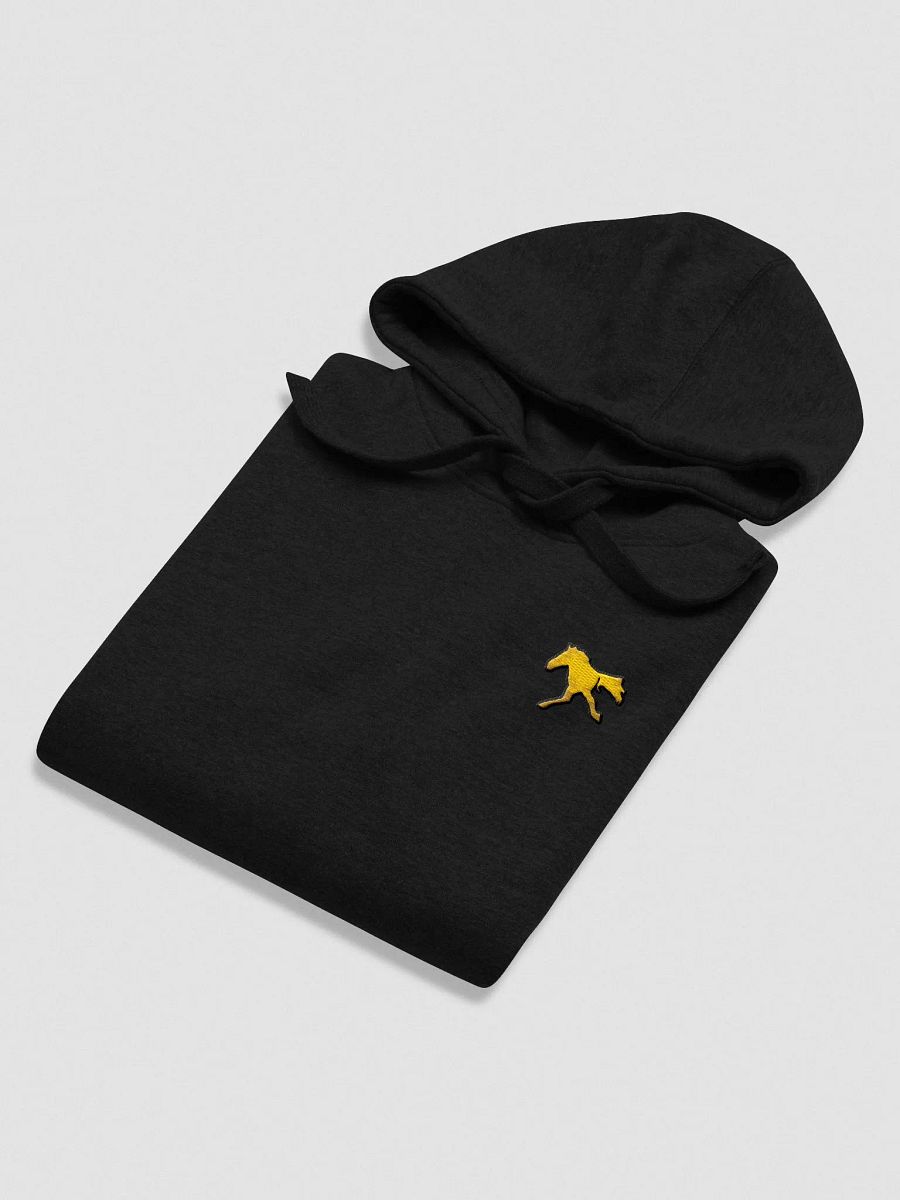 The Horse Run Monthly - Embroidered Hoodie product image (7)
