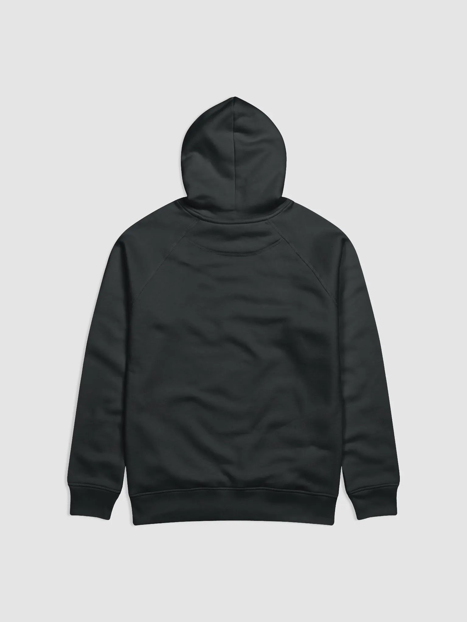 Paralyzed Hoodie product image (2)