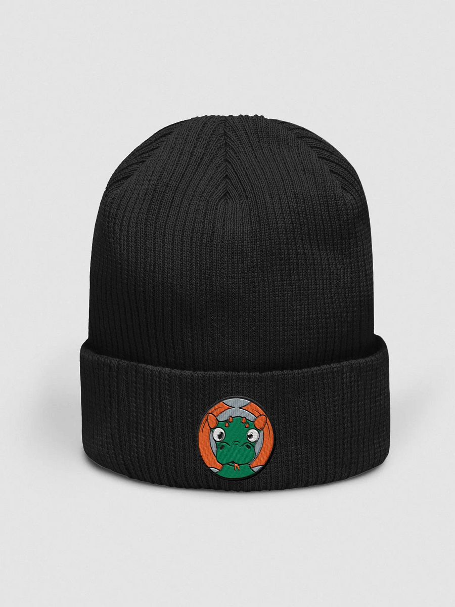 Confused Dragon Organic Cotton Ribbed Beanie product image (1)