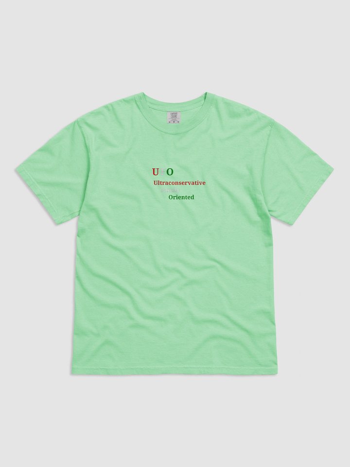 UFO Ultraconservative Family Oriented Tee product image (1)