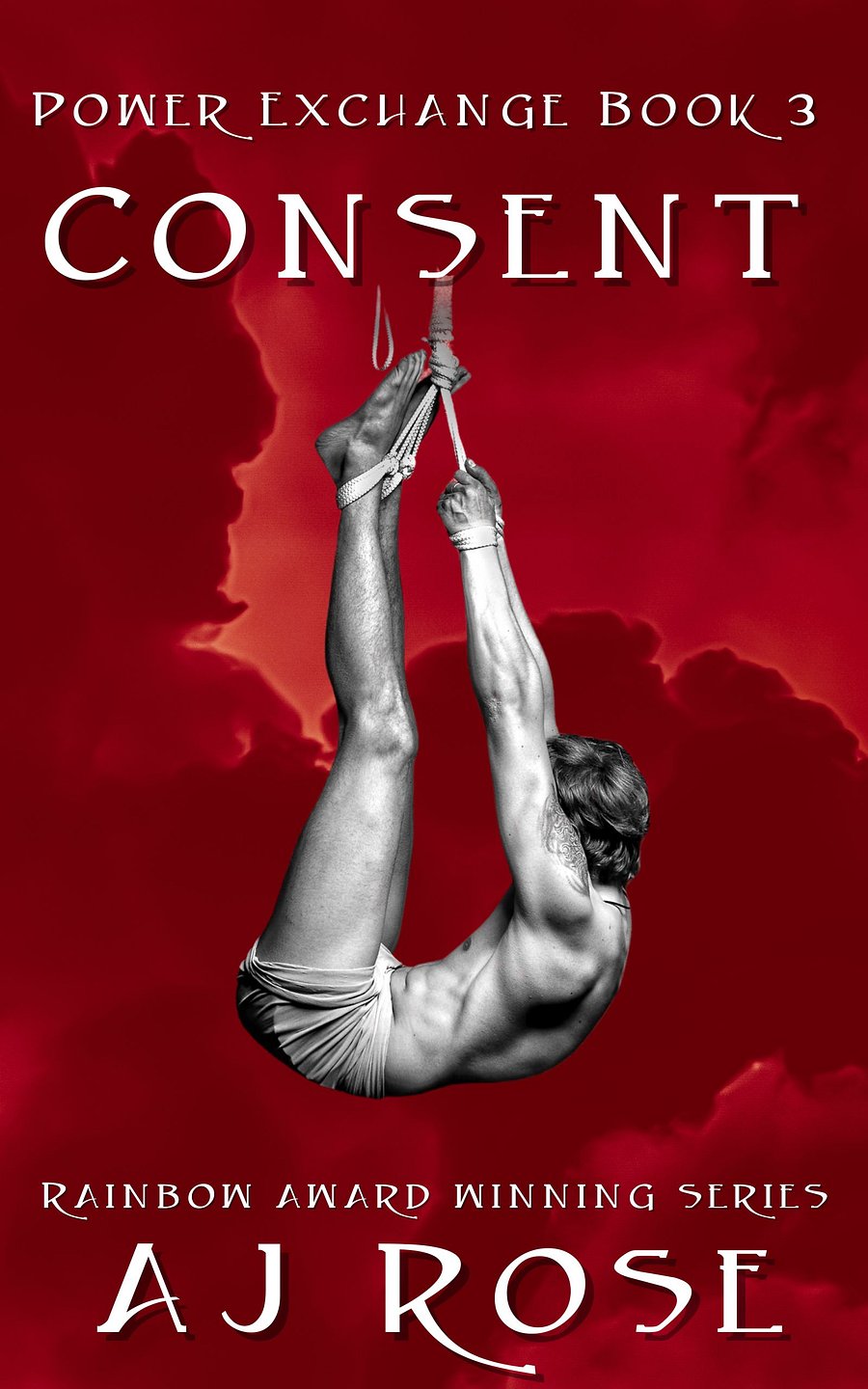 Consent (Power Exchange Book 3) product image (1)