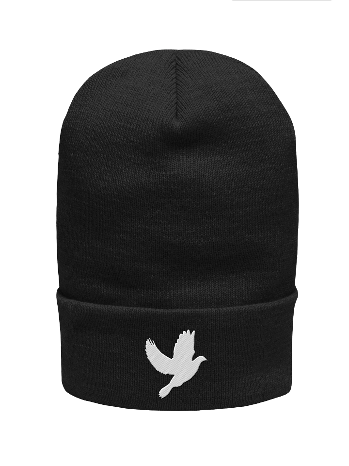 THE BIG BEANIE product image (1)