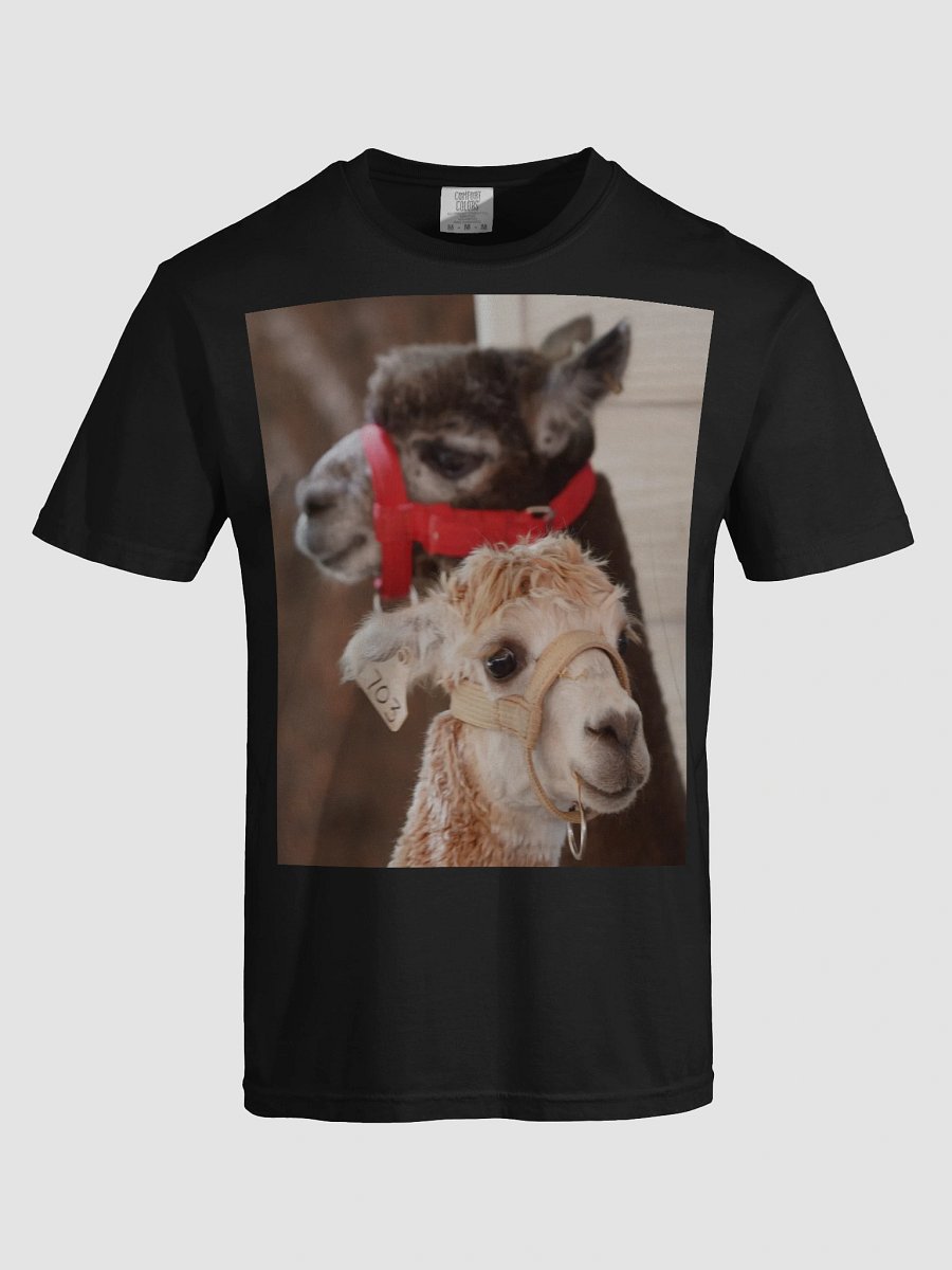 Alpaca Harmony T-Shirt product image (5)