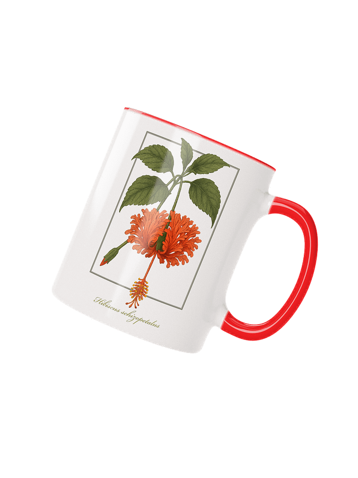Hibiscus schizopetalus Flower - mug product image (3)
