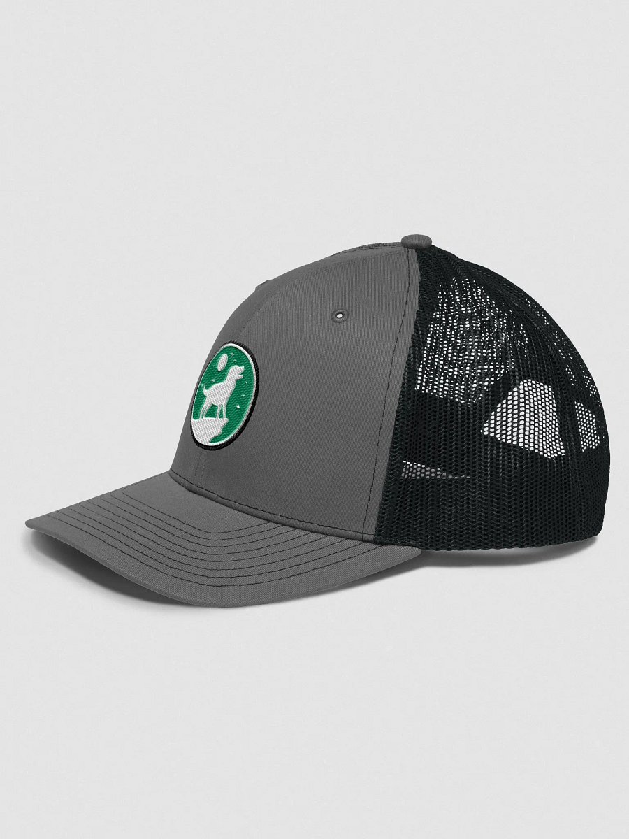 Trucker Snapback - The Indecision Lab product image (2)