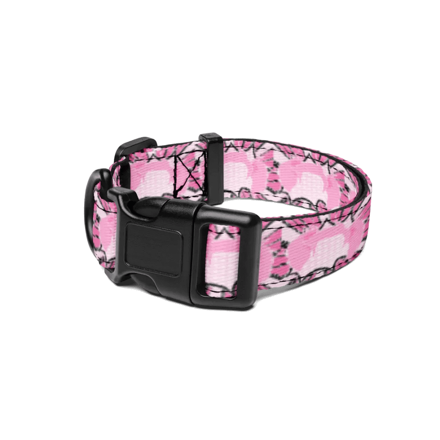 Pop Art Gnome Collar product image (1)
