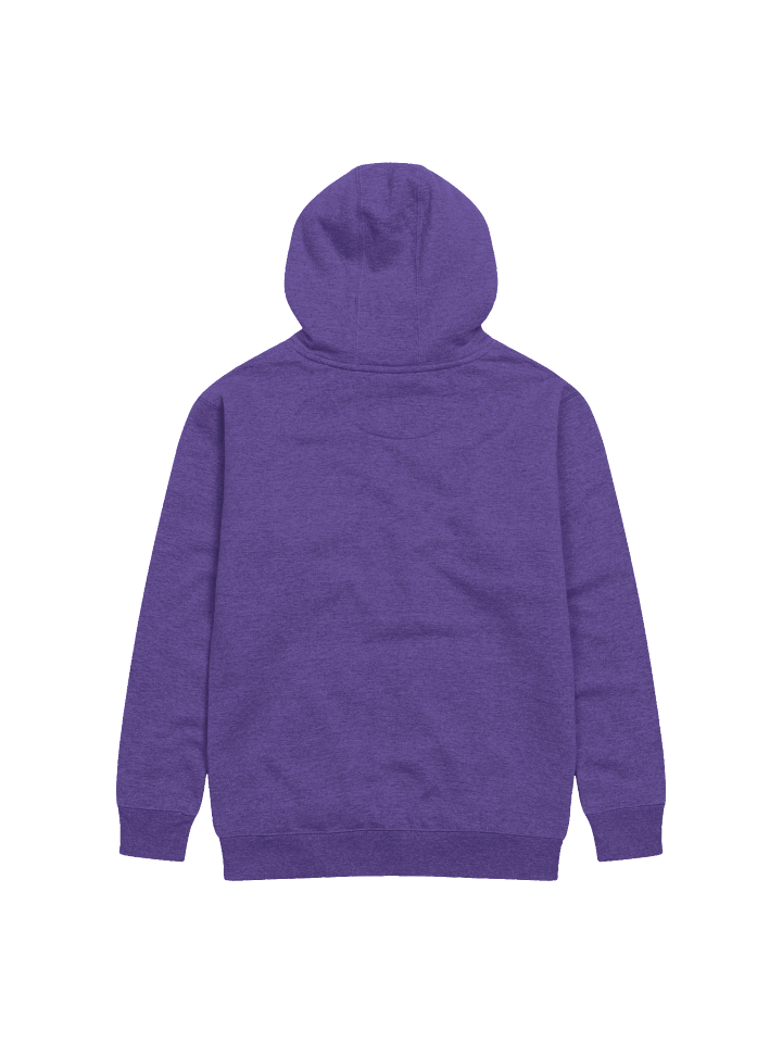 MAPS Sunday School Premium Unisex Hoodie product image (9)