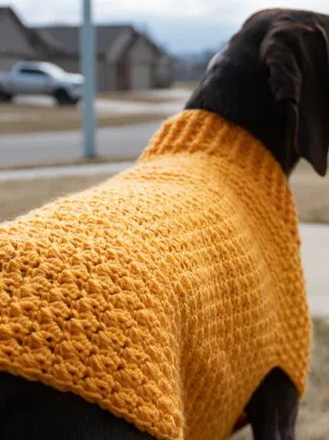 Easy Large Dog Sweater Crochet Pattern product image (5)