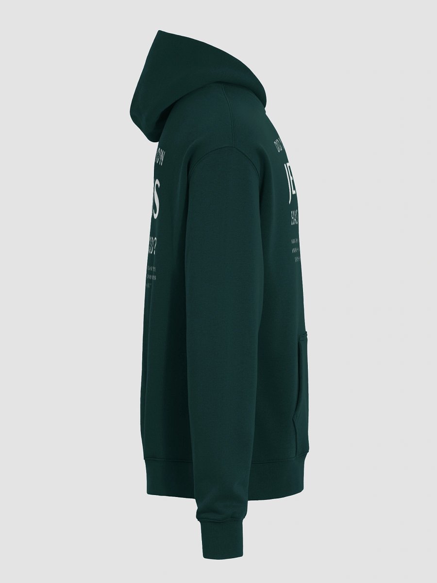 Jesus Has a God Premium Oversized Hoodie product image (22)