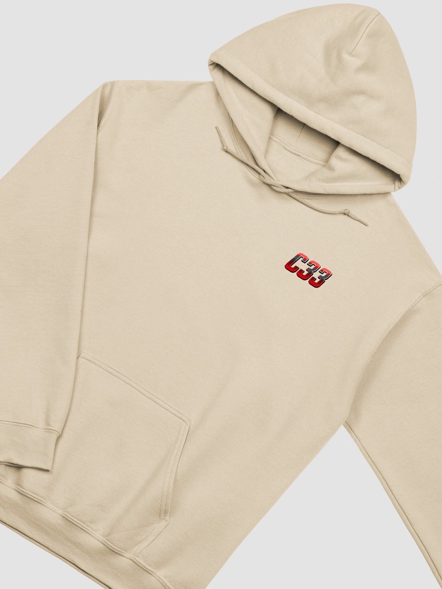 C33 Retro Blood Back Hoodie product image (28)