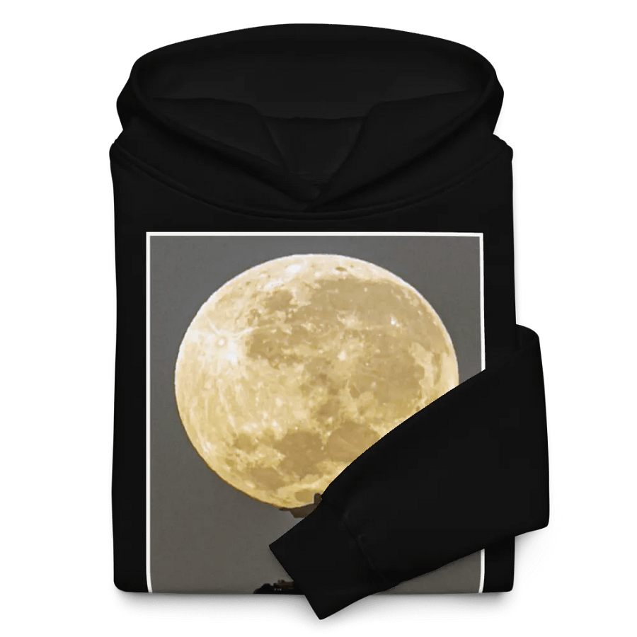 Christ the Redeemer Holding the Moon product image (10)