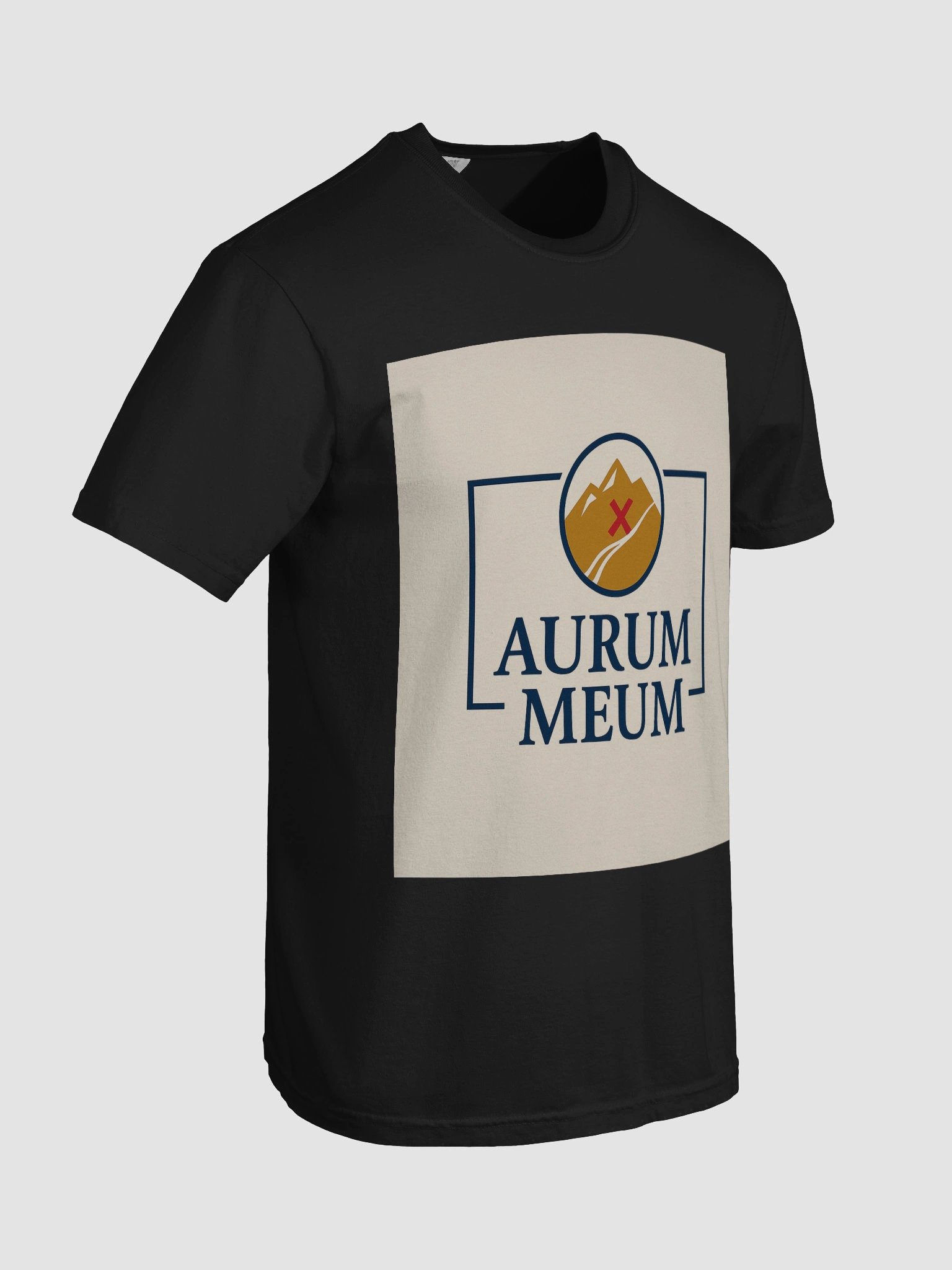 Aurum Meum $GOLDY product image (8)
