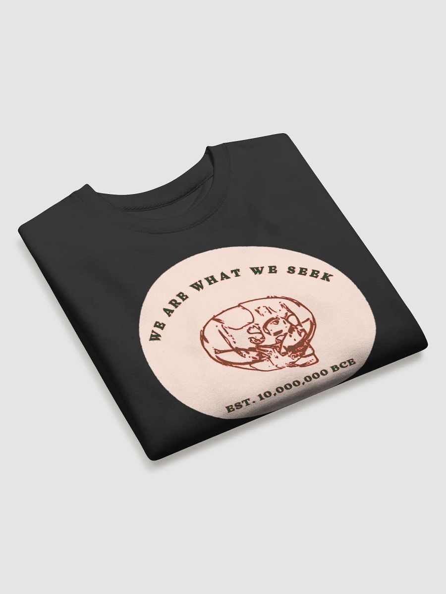 Ancient Wisdom Sweatshirt product image (3)