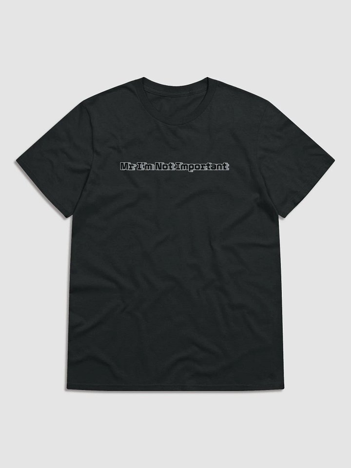 Lightweight Fashion Short Sleeve T-Shirt - Mr I'm Not Important product image (1)