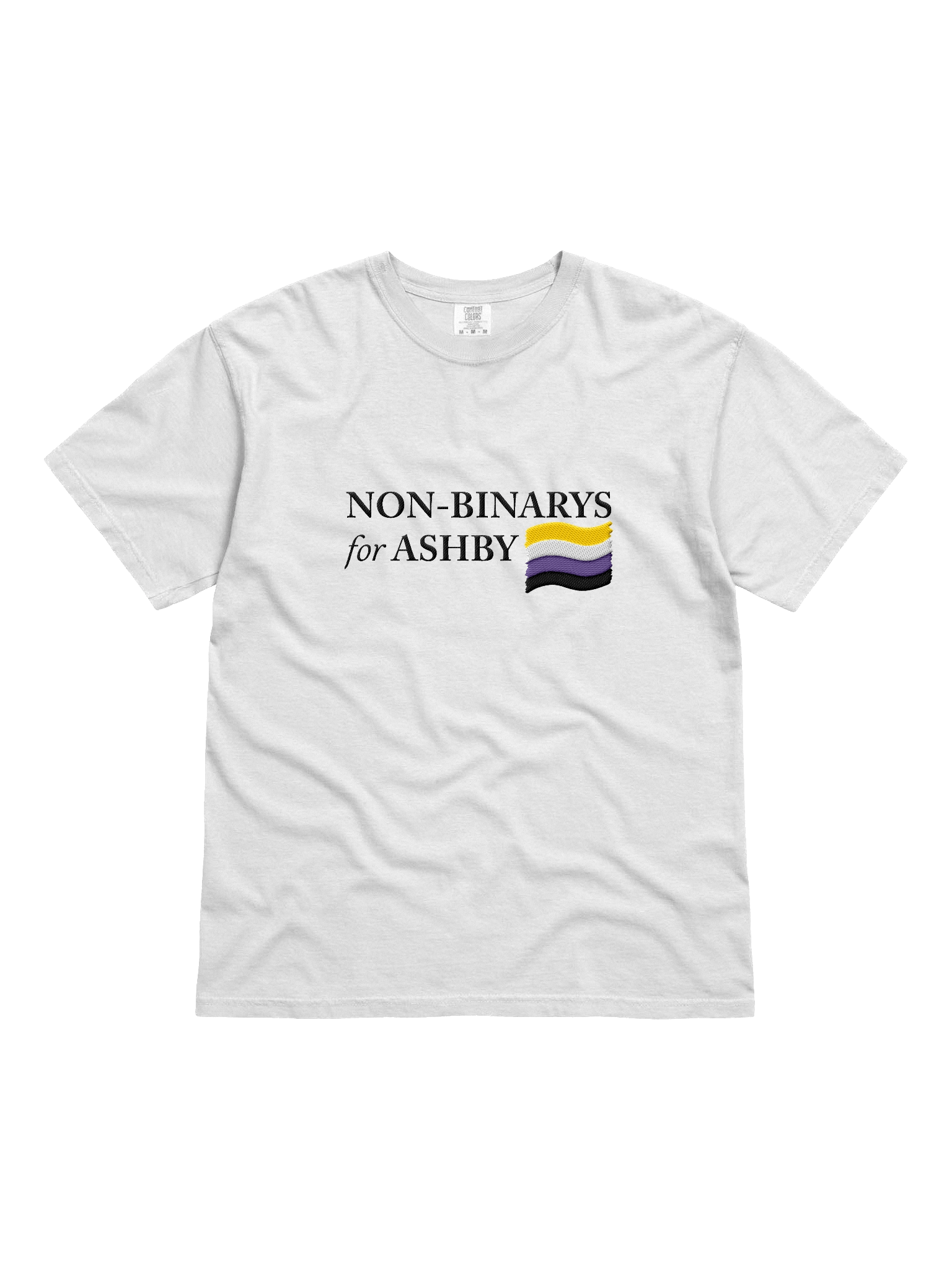 NON-BINARYS 4 ASHBY TSHIRT (embroidered) product image (1)