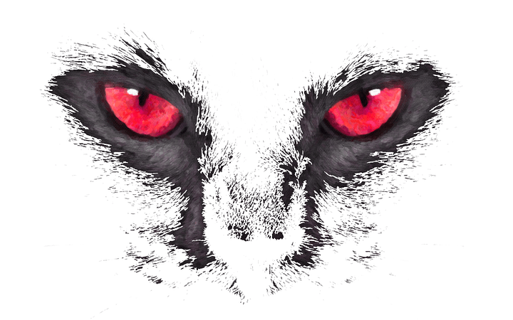 Cats Eye Digital Product product image (1)
