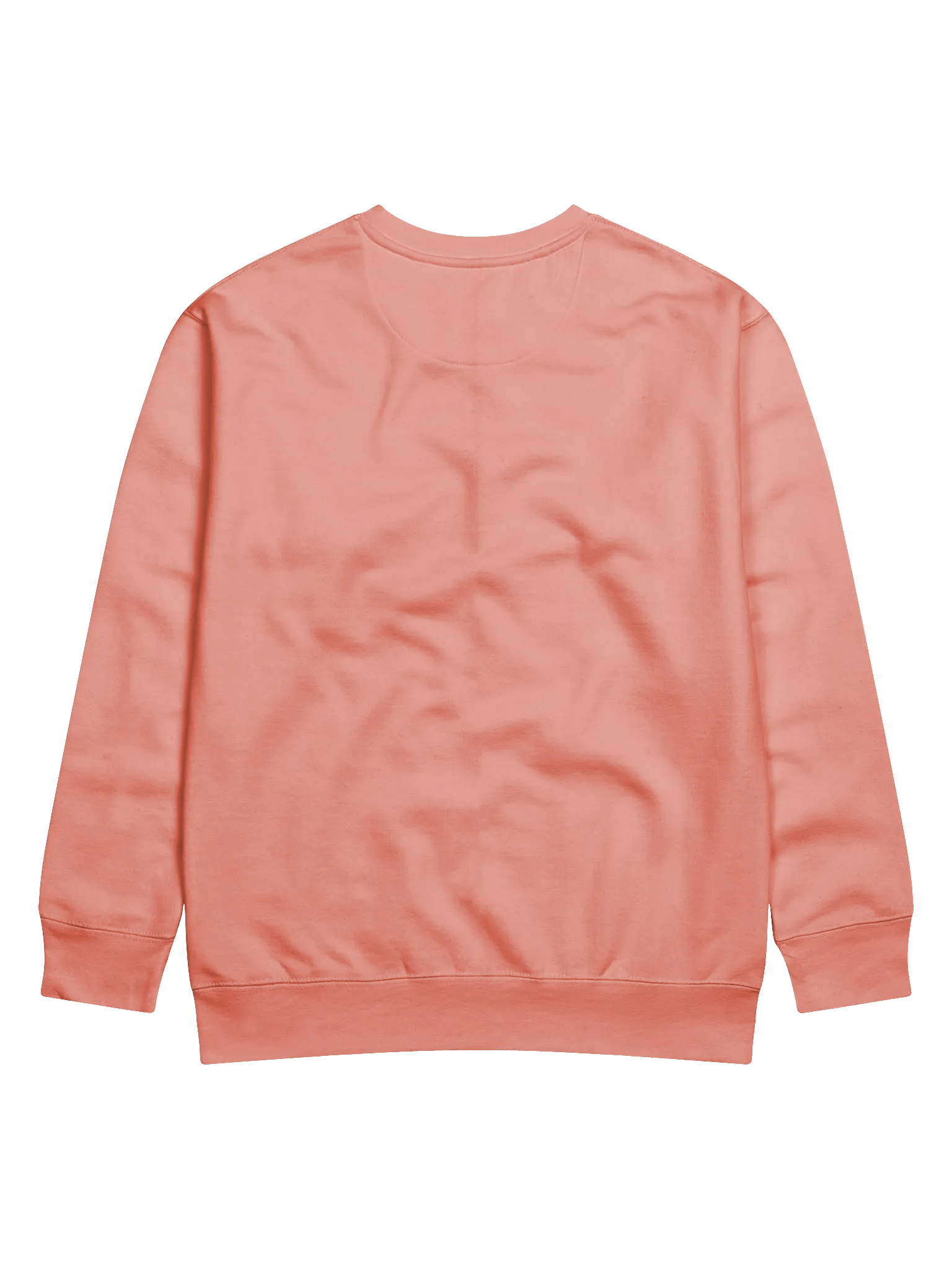 Silently Correcting Your Grammar Sweatshirt product image (8)